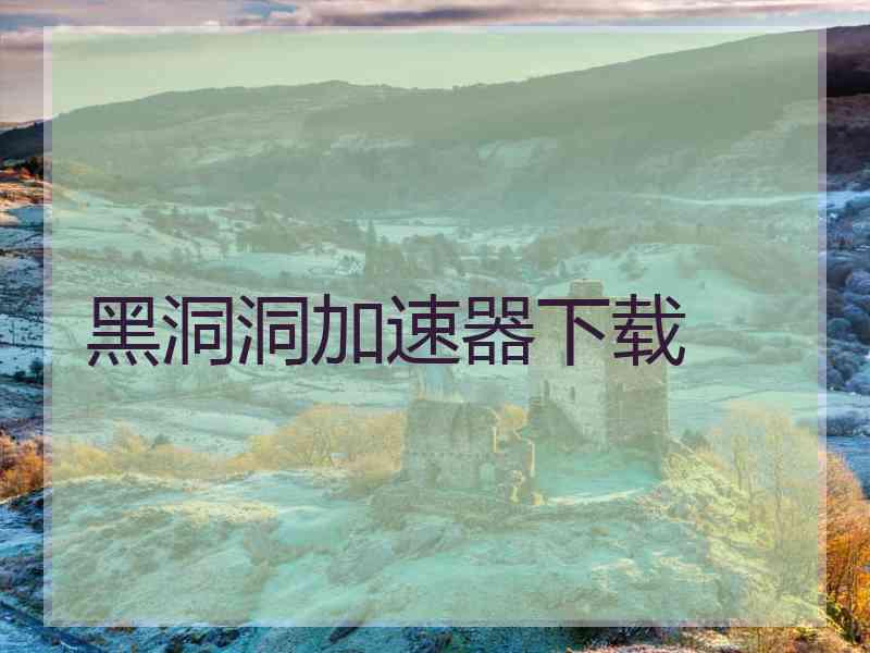 黑洞洞加速器下载