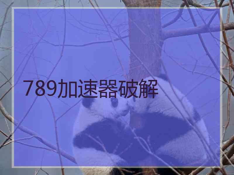 789加速器破解