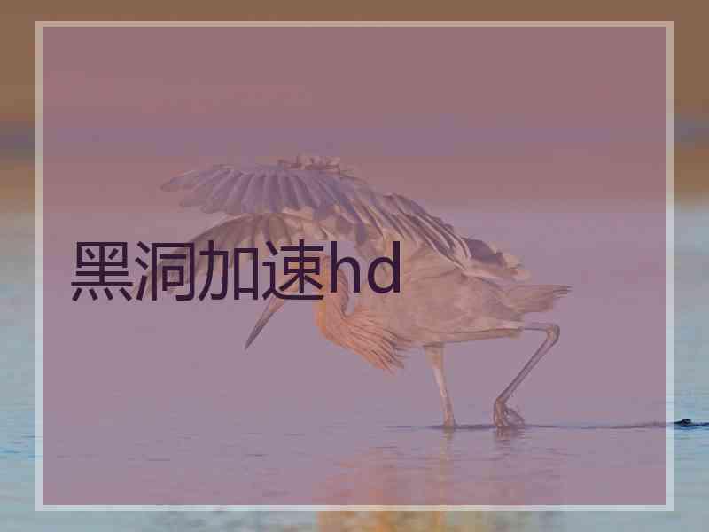 黑洞加速hd