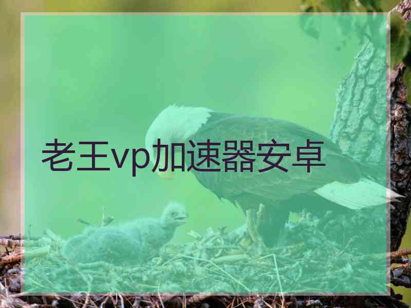 老王vp加速器安卓