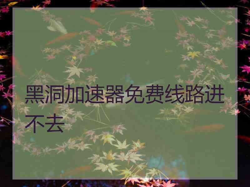 黑洞加速器免费线路进不去