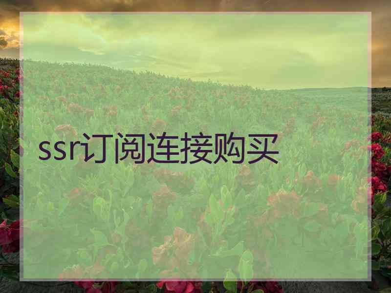 ssr订阅连接购买