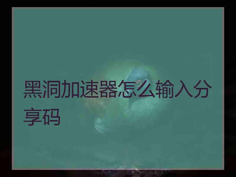 黑洞加速器怎么输入分享码