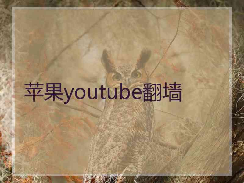 苹果youtube翻墙