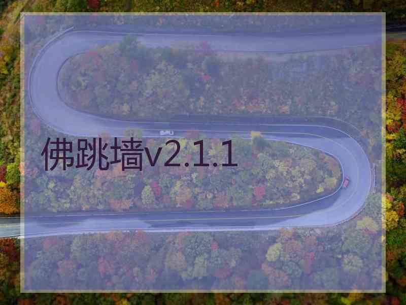 佛跳墙v2.1.1