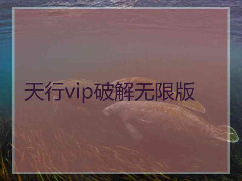 天行vip破解无限版