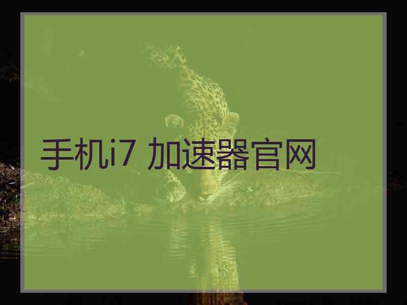 手机i7 加速器官网