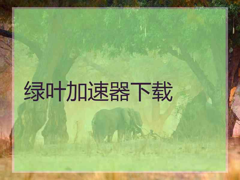 绿叶加速器下载