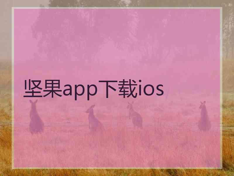 坚果app下载ios