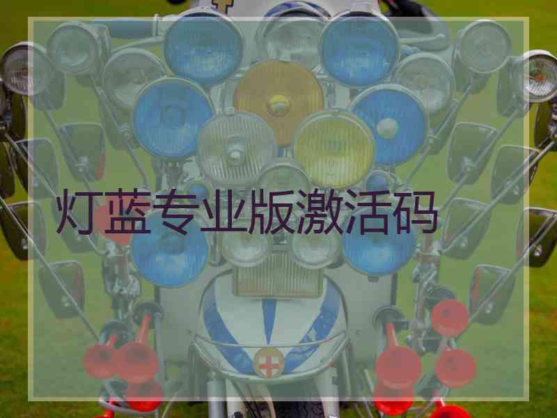 灯蓝专业版激活码