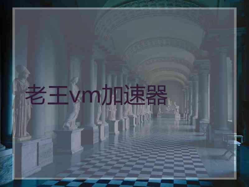 老王vm加速器