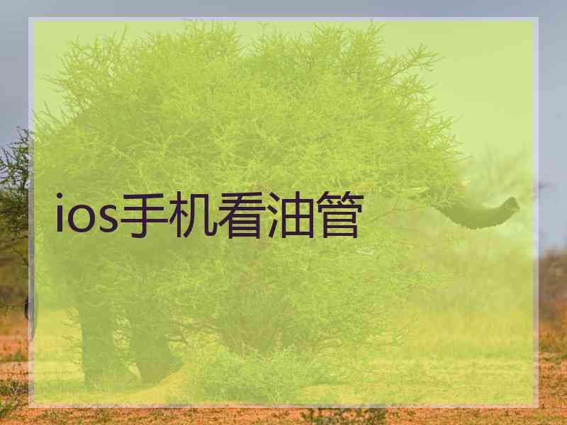ios手机看油管