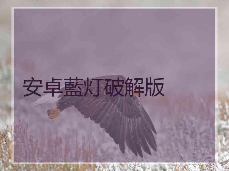 安卓藍灯破解版