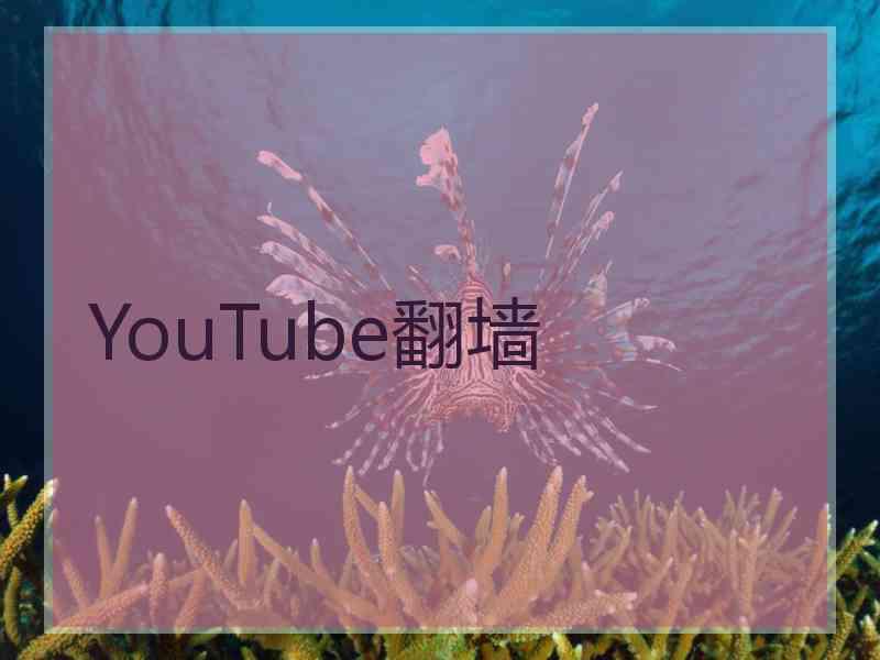 YouTube翻墙