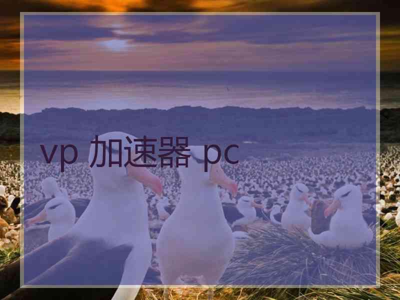 vp 加速器 pc