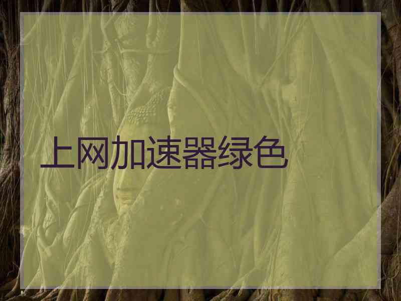上网加速器绿色