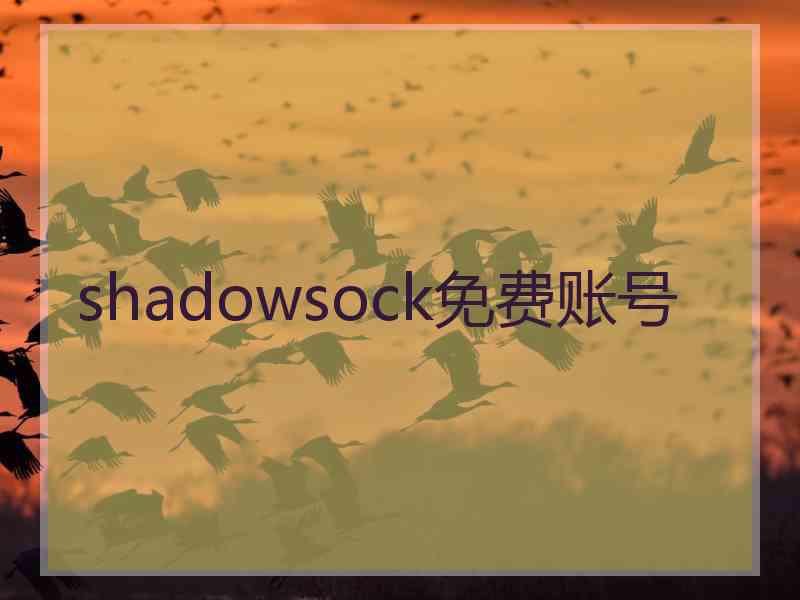 shadowsock免费账号