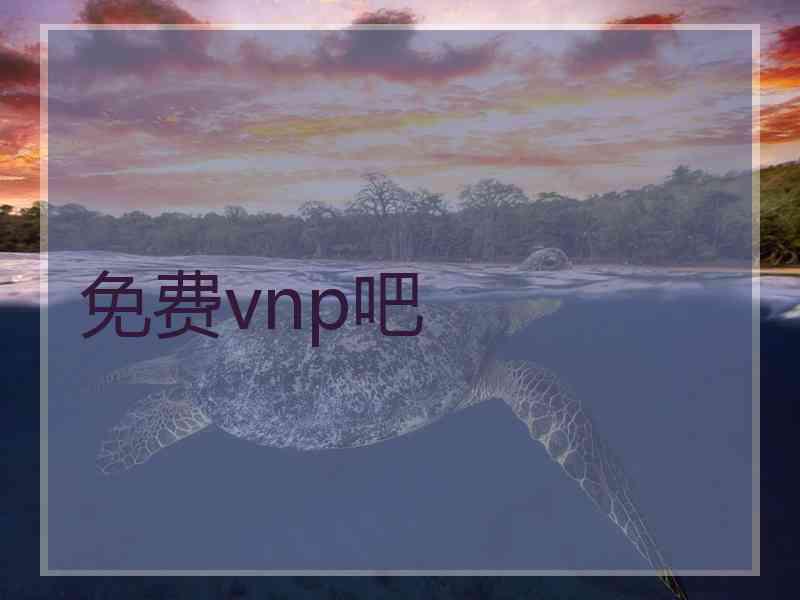 免费vnp吧