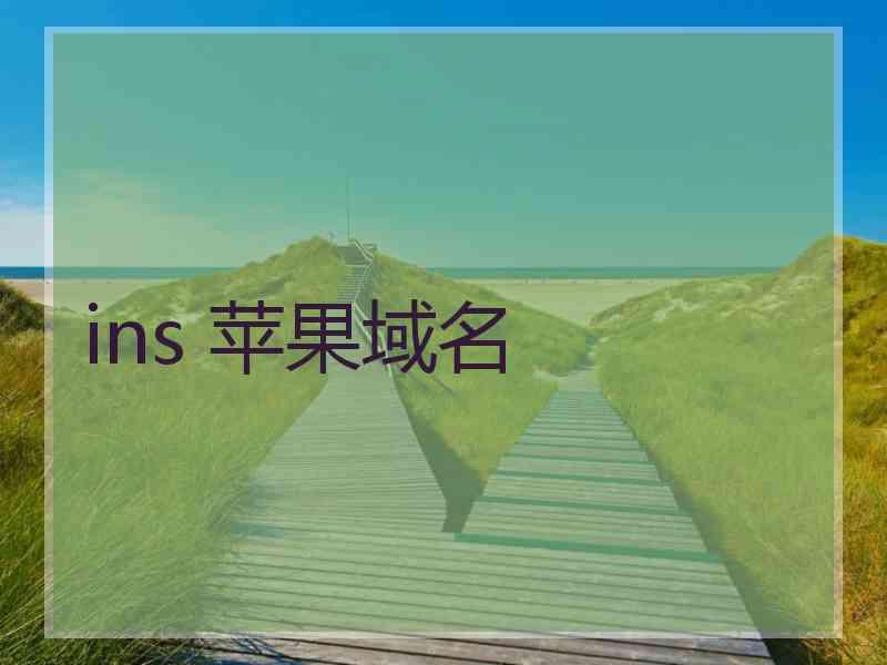 ins 苹果域名