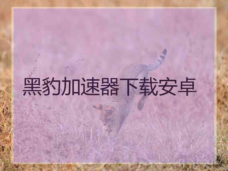 黑豹加速器下载安卓