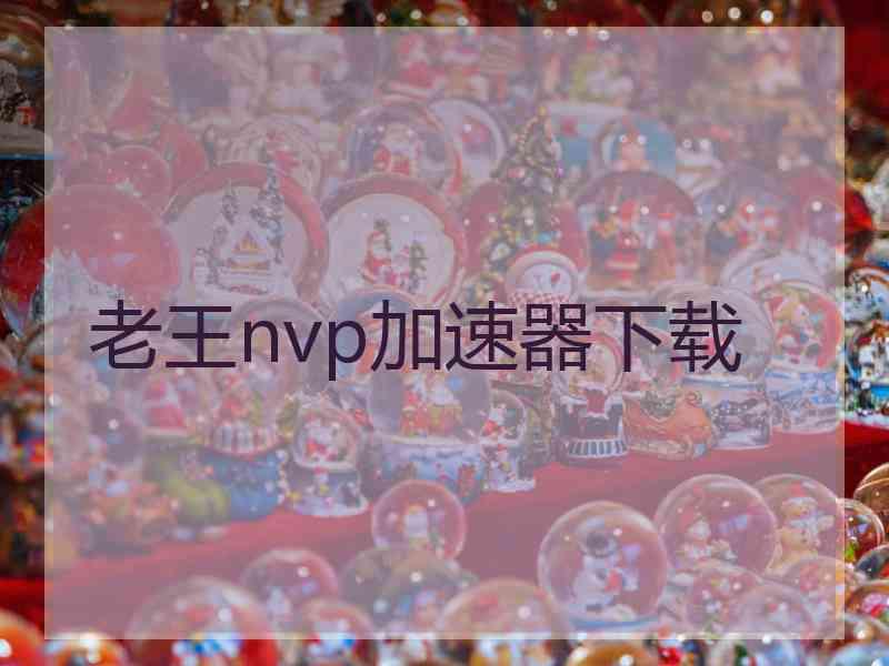 老王nvp加速器下载