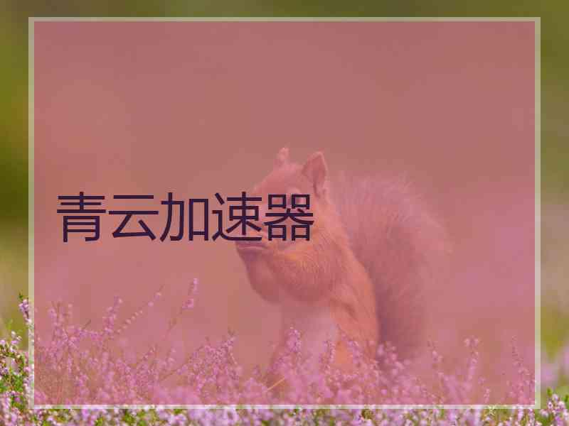 青云加速器