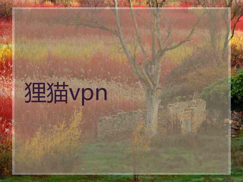狸猫vpn
