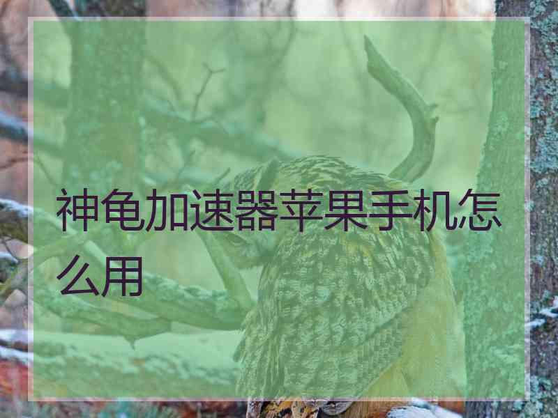 神龟加速器苹果手机怎么用