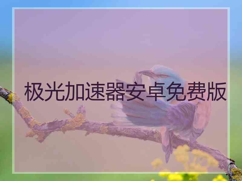 极光加速器安卓免费版