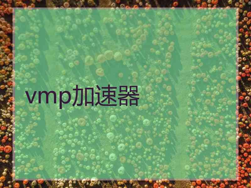 vmp加速器