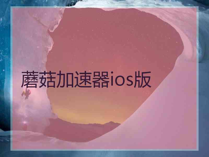 蘑菇加速器ios版