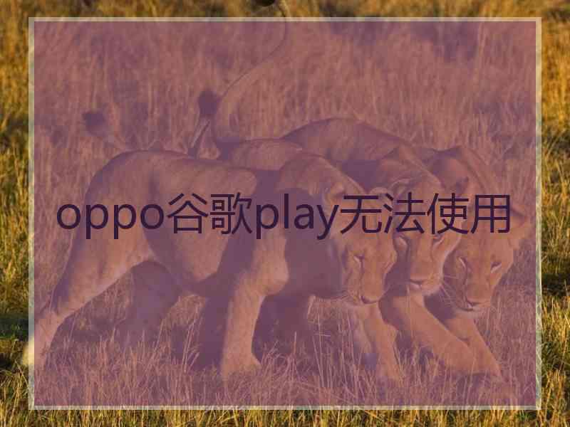 oppo谷歌play无法使用