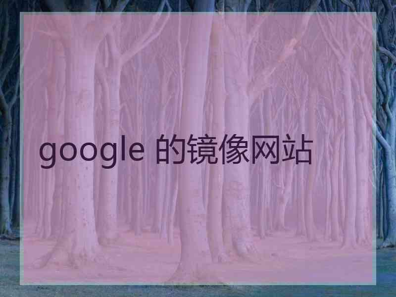 google 的镜像网站