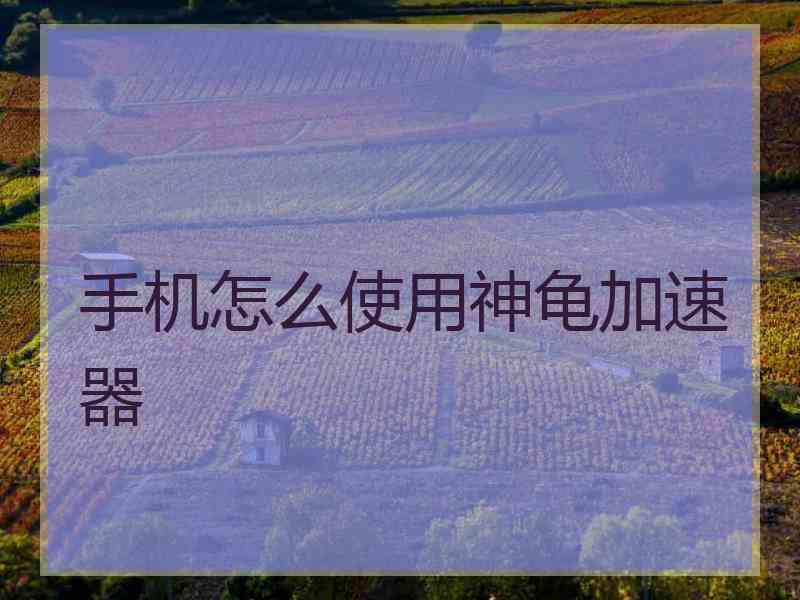 手机怎么使用神龟加速器