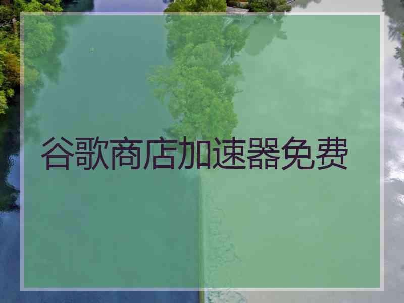 谷歌商店加速器免费