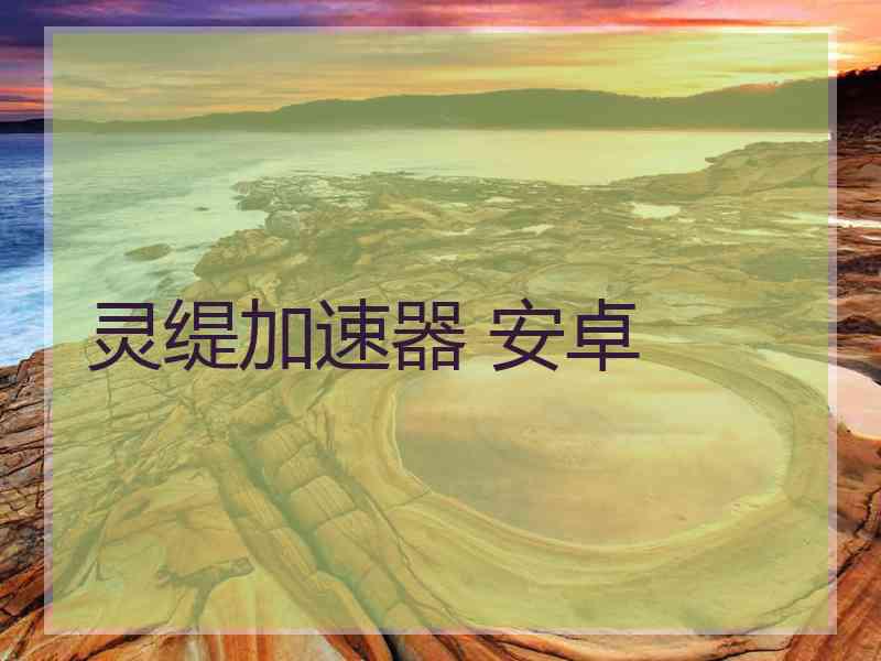 灵缇加速器 安卓
