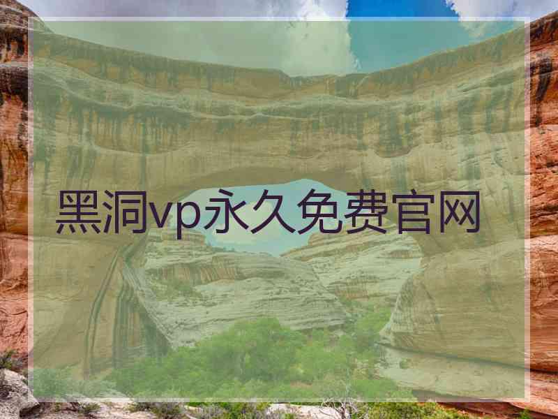 黑洞vp永久免费官网