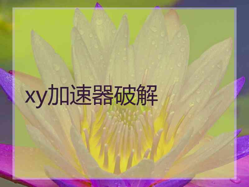 xy加速器破解
