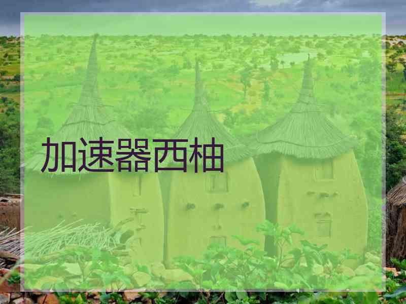 加速器西柚