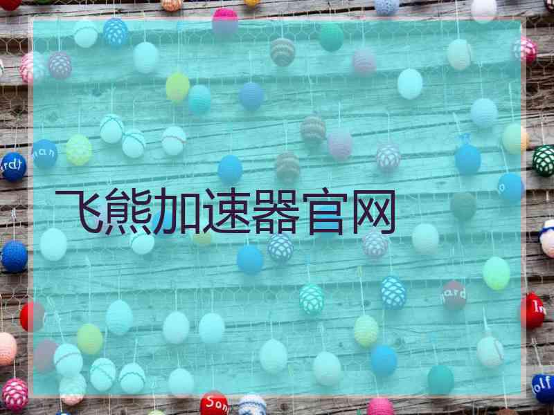 飞熊加速器官网