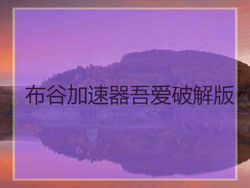 布谷加速器吾爱破解版