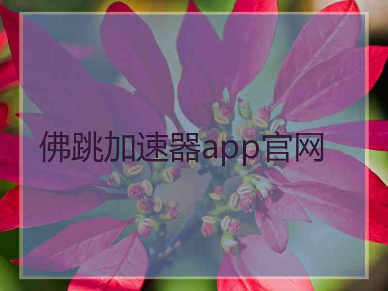 佛跳加速器app官网