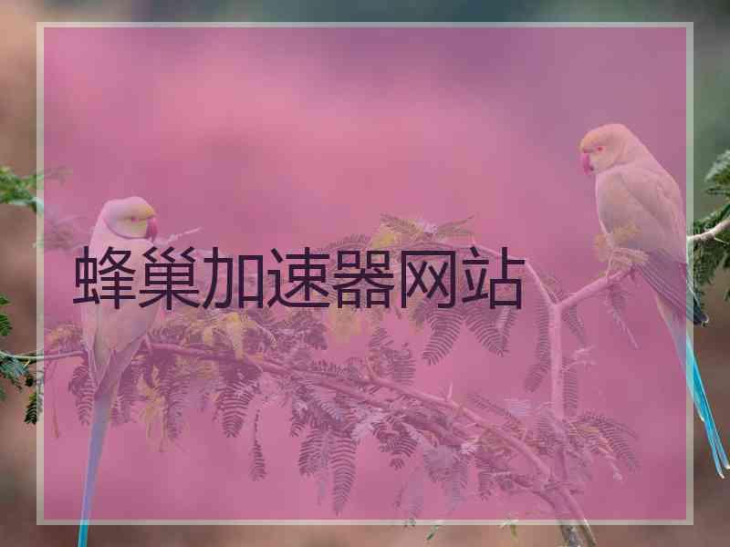 蜂巢加速器网站