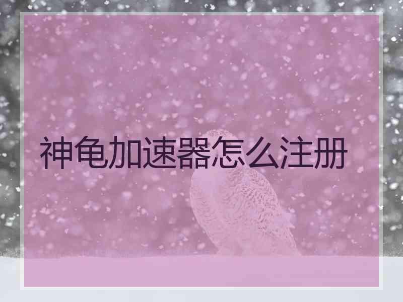 神龟加速器怎么注册