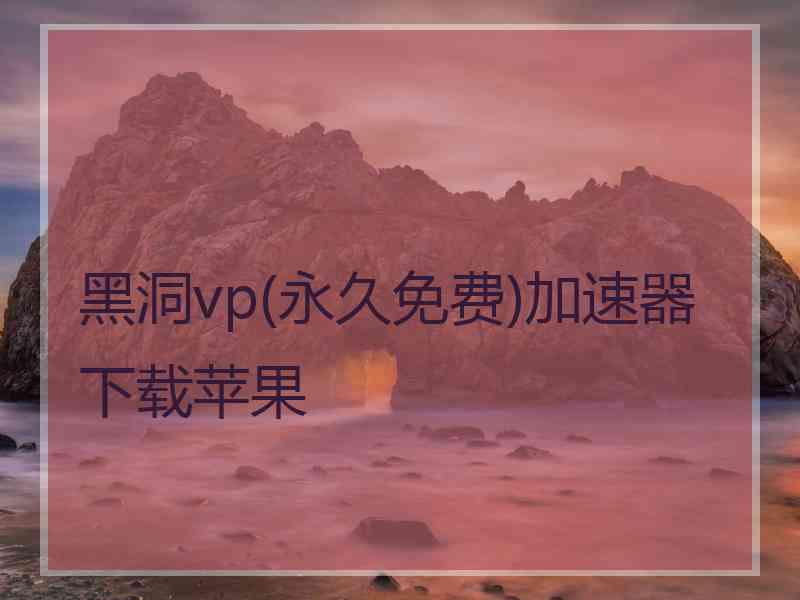 黑洞vp(永久免费)加速器下载苹果