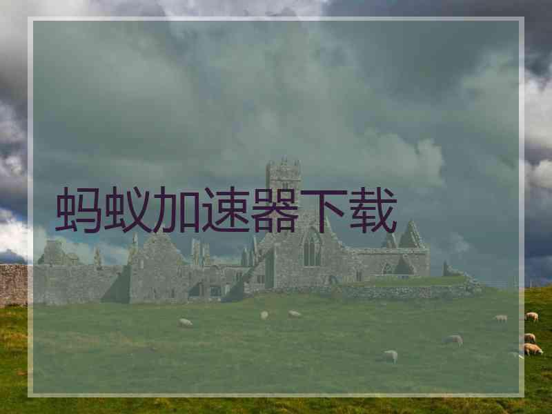 蚂蚁加速器下载