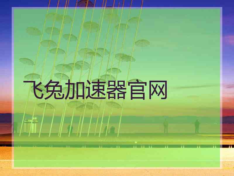 飞兔加速器官网
