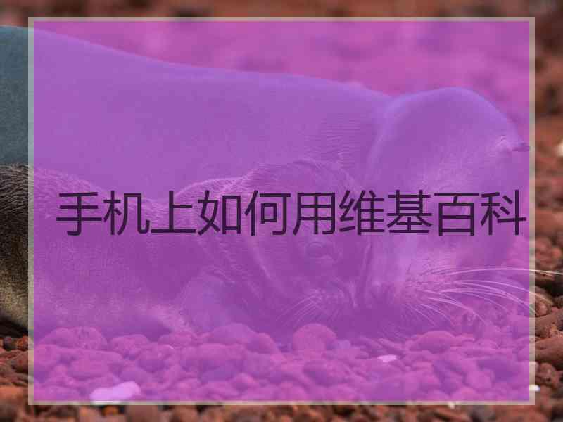 手机上如何用维基百科
