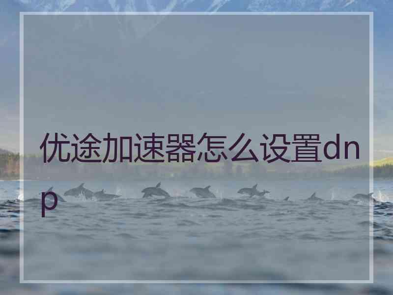 优途加速器怎么设置dnp