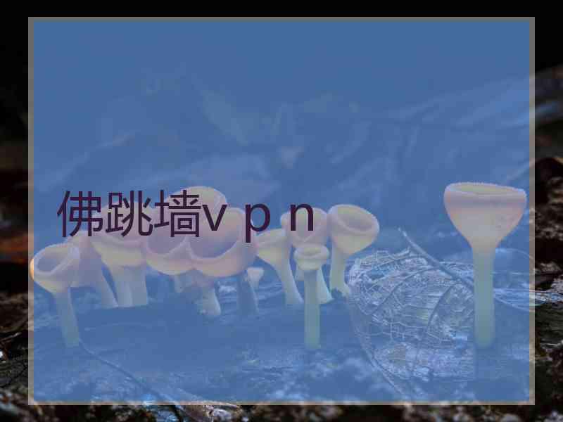佛跳墙v p n